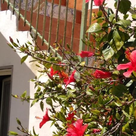 Casale Hibiscus Villa Santa Maria Del Focallo Luaran gambar